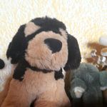 Frank Kissel - @frankykissel - Instagram