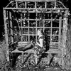 Frankii Knott - @frankiiknott - TikTok