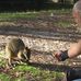 Frank Kovacs - Facebook