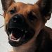 Frank Kratzer - Facebook