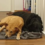 Frank Krone - @frank.krone.5 - Instagram