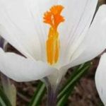 Franklin Laborde - @labordefranklin - Instagram