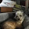 frankreyeslaboy - @usfulfarmer187 - TikTok