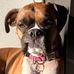 Frank LaForge - Facebook