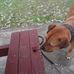 Frank Lalli - Facebook