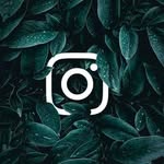 Home grown💪💪 - @frank_lamaa - Instagram