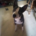 Frank Lantz - @frank.lantz.988 - Instagram