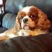 Frank Lontz - Facebook