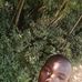 Frankline Lesley - Facebook