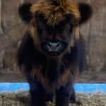 Frank Large - @large_frank - Instagram