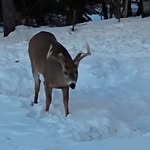 Frank Laurin - @frank.laurin.58 - Instagram