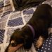 Frank Lavender - Facebook