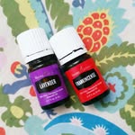 @lavenderandfrank - Instagram