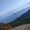 Frank Lazo - @frank.lazo2 - TikTok