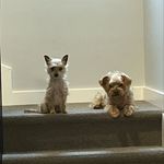 Frank Leclair - @frankiefives - Instagram