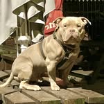 Frank Leigh - @frankleigh29 - Instagram
