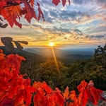 Frank Leigh - @leigh.franklin432 - Instagram