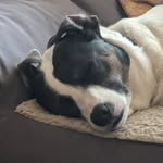 @frankleman - Instagram