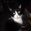 franklen_44 - @franklen_44 - TikTok