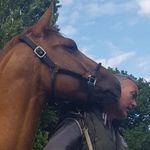 Frank Lenz - @whizredbaron - Instagram