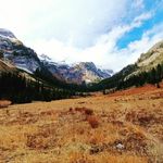 Frank Leonetti - @frank.leonetti - Instagram