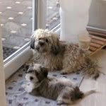 Frank Leonhardt - @leonhardt1963 - Instagram