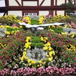 Frank Leonhardt - @frank.leonhardt612022 - Instagram