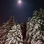 Frank Lerner - @lense4630 - Instagram