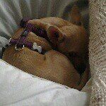 franklesch - @franklesch - Instagram