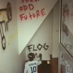 Frank - @frank.levanto - Instagram