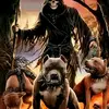 frank.levett - @frank.levett - TikTok