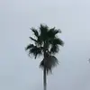 Frank - @franklew7 - TikTok
