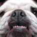 Frank Lewkowitz - Facebook