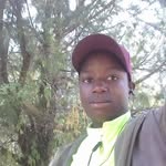 Frank Lex - @frank.lex.94 - Instagram