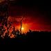 Frank Libauskas - Facebook