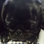 Frank Liebmann - @frankliebmann - Instagram