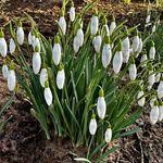 Frank Liebe - @love030565 - Instagram