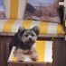 Frank Liebmann - Facebook