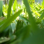 Frank light - @franklight36 - Instagram
