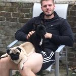 Frank & Lilly 🇬🇧 - @little_lil_and_frankosaurus - Instagram