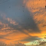 Frank Lima - Facebook