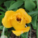 Frank Linder - @linder.frank - Instagram