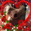 Frank Lindquists - @frank.lindquists - TikTok