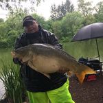 Frank Lipp - @lipp.frank - Instagram