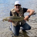 Frank Lippens - @franklippens - Instagram