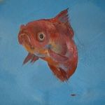 Frank Lippold - @franklippold - Instagram