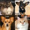 Suze Frank Lou & Kev - @suze.frank.louie.kevin - TikTok