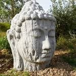 Frank Lukas - @frankwelt - Instagram