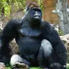 franklustermann67 - @franklustermann67 - TikTok
