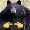 Bastard - @frankfpxluu - TikTok